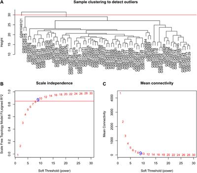 Identification of Co-Expression Modules and Genes Associated With Tumor Progression in Oral Squamous Cell Carcinoma